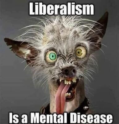 7190e8ba-0855-4785-b1de-24a994603590