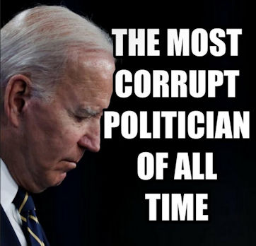 criminal activity155