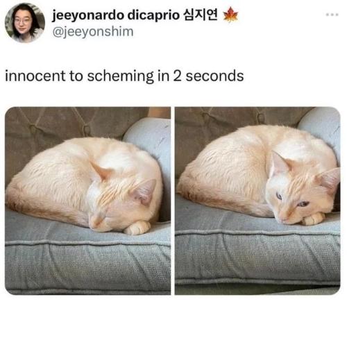 jeeyonardo-dicaprio-jeeyonshim-innocent-scheming-2-seconds