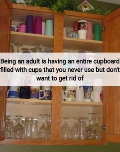 Screenshot_20240122_052051_Facebook