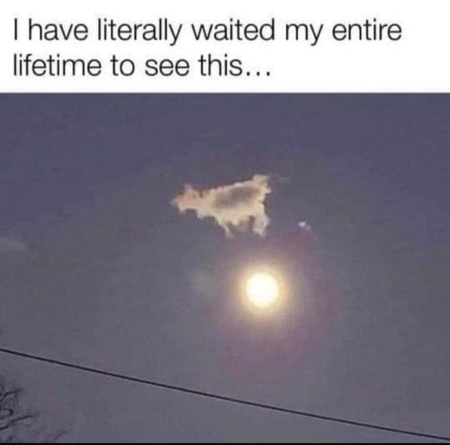 FB_IMG_1706538153750