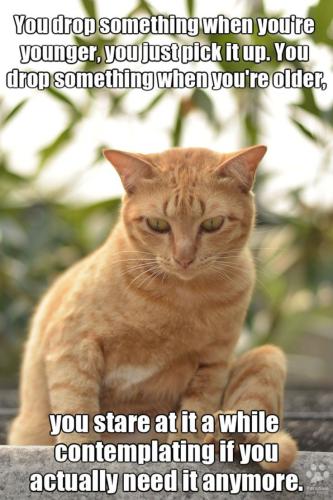 775798a7d5c8f30cca768ab10327fb70