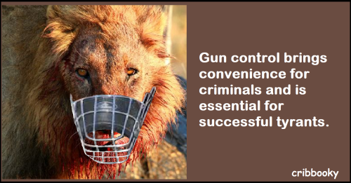 gun_control_truths1