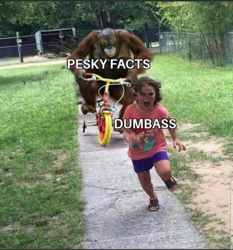 20240113163946