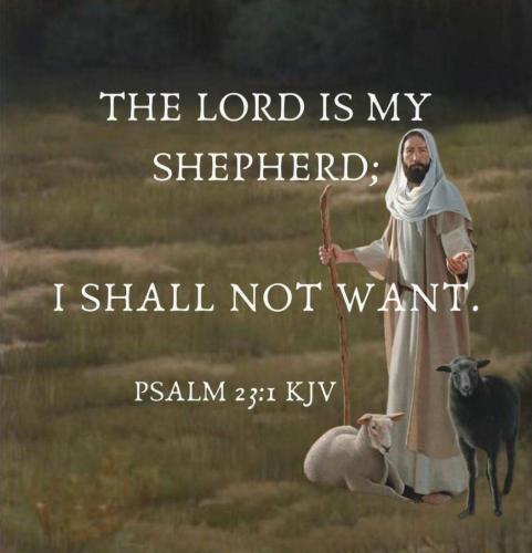 08428a0f-396a-46a5-a6bb-d8e6e5e8184c