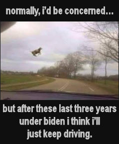 normally id be concerned