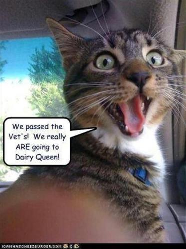 f8dcc6d7ee5402ef59e59be61194585e