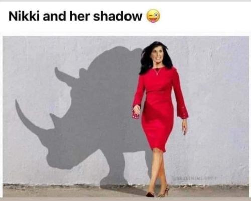 nikki shadow