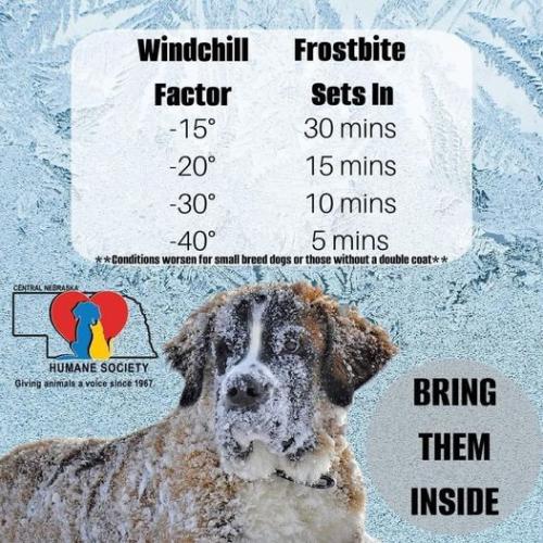 419788531_781777767327045_1020272739835706744_n