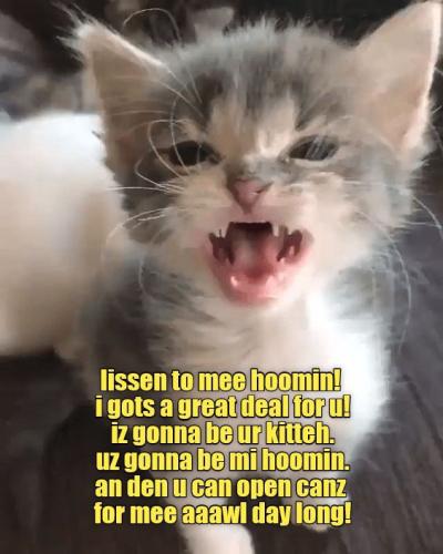 775c7f83d8ea19c589d0ba2809e6aa21