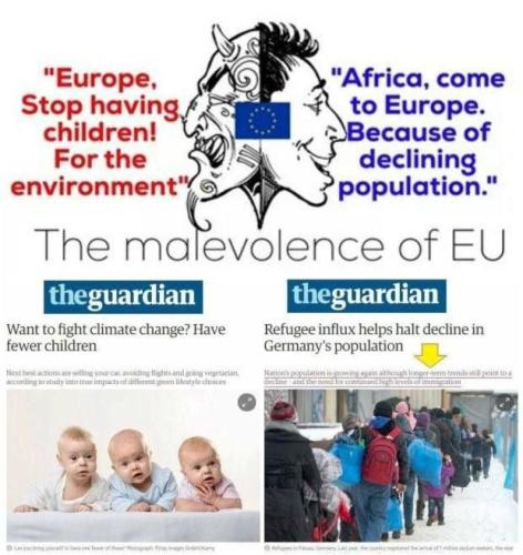 IMG_20240121_170828_426