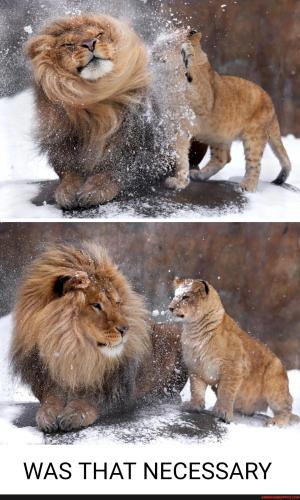 ccd8a98a757ecf4e3f30a6a68c059dcc84c8c0b4f76fba75a0a9547edc469633_1