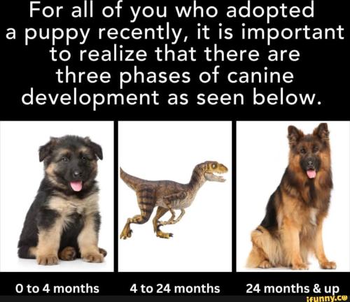 7dfc4c864e9dd6ad5da449722b003ab60e18de04400daf91ab4f47cc363d2748_1