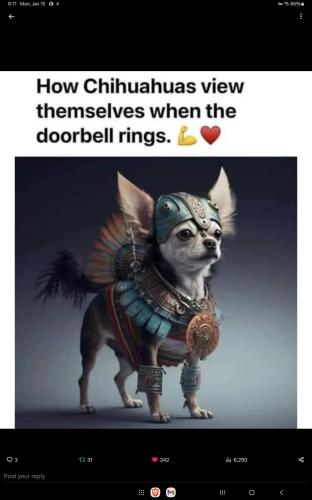 Screenshot_20240115_181116_X