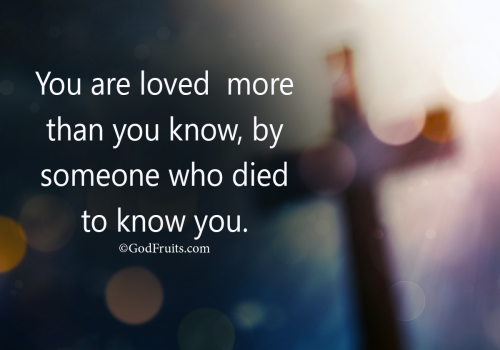 12493973_465365906987292_328472574827536455_o