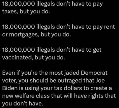 illegal immigration378