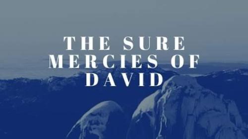 7455ee34-1322-4d1e-9f17-ab99355214a0