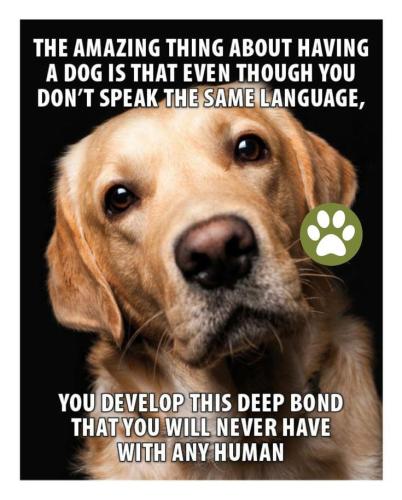 7f659d92059a003a52ed35e17b363505