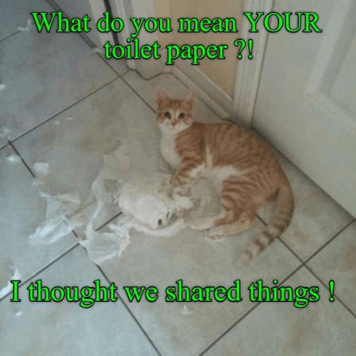 9ad83b010e3f83f934e4c6a24ef4bbe4