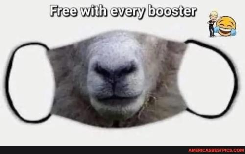 Resized_sngine_a1f960dc86c928ec7c5378b09c77fc23