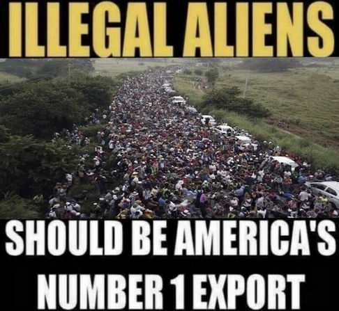 illegal immigration379