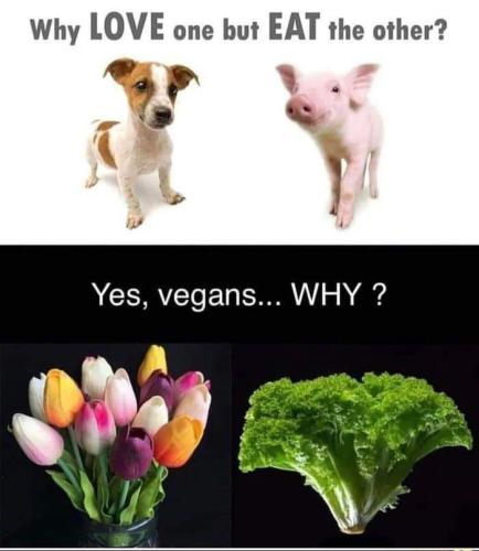 eat each other