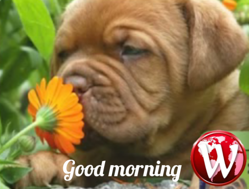 Polish_20240114_214432353