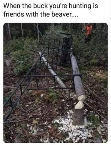 FB_IMG_1704740329258