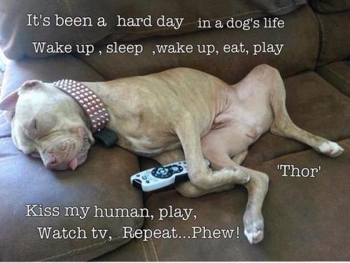 32088004890_f558082473_z