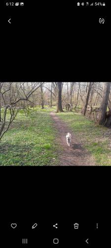 Screenshot_20240125-061207_Gallery