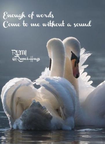 .             394784533_23939208395..