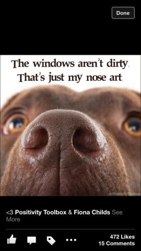 045b21bb1732b63a23c663ed10f4e331