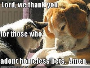 46942611ff1381983335fa512d868c65