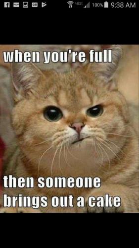 762bca57a59658021aa53a225459a66d