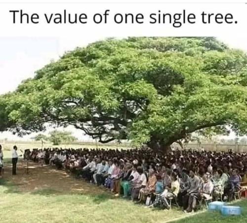 419733747_680856587578637_4092239562230031867_n