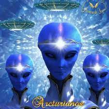 .      313104779_11556574386