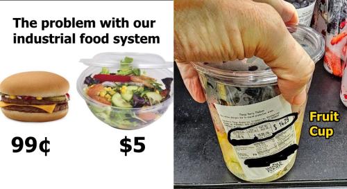 415915747_851461933653848_6221347028202666232_n