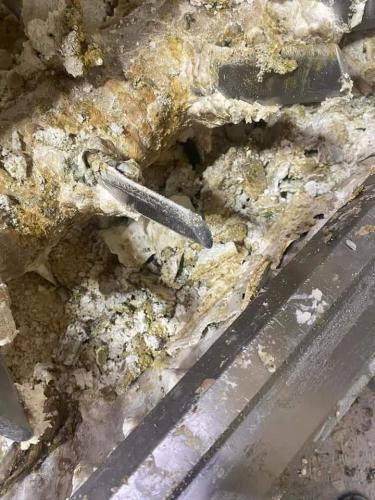 fbd95da6-71f1-493f-89c4-5dfe613d9309