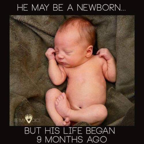 FB_IMG_1705975855240