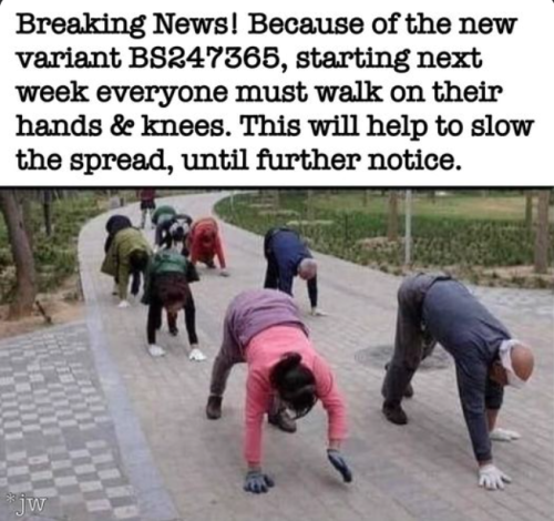 sngine_1eb5b8610c219b333e5eb2c4ac07a92c