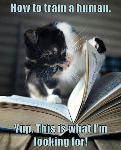 ac0877bd626aad913c7f822f945047d3