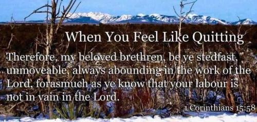 a750585d-e40f-4375-b1aa-8e9336a3a433