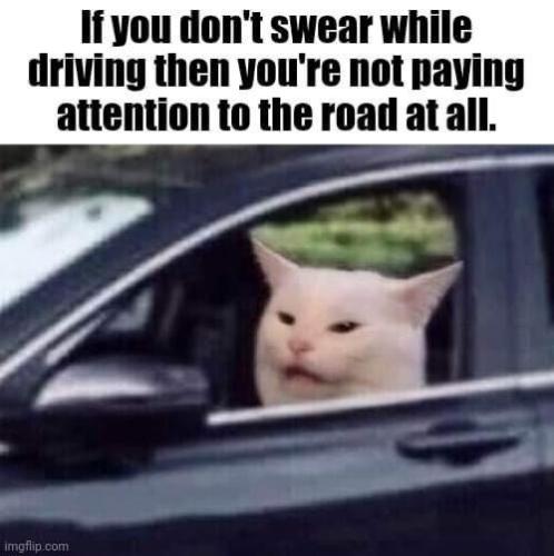 25a87ad7faea5313e8f90170571ce17e