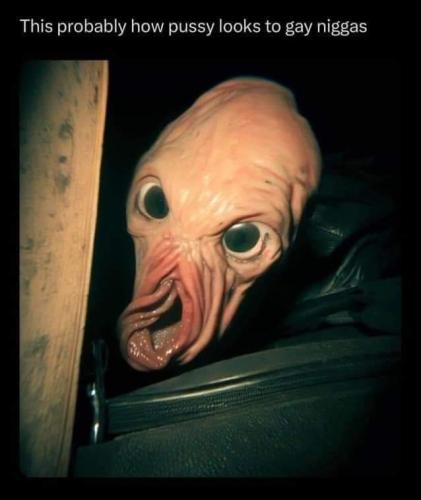 FB_IMG_1706650762999