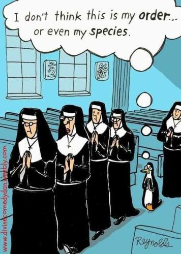 414323427_340532848734498_3286814110406381425_n