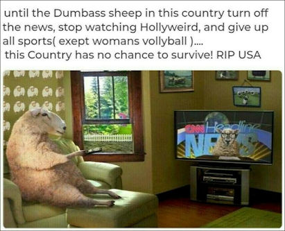 sheeple79