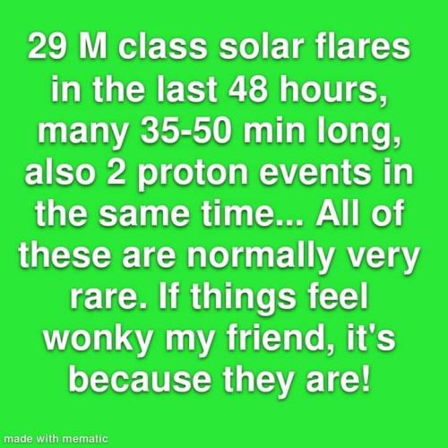 ,     ,    324779683_12676030304