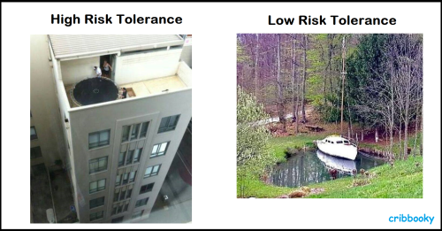 risk_tolerance