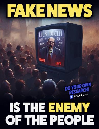 Fake News 1