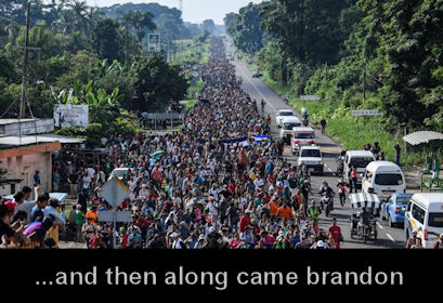 illegal immigration372